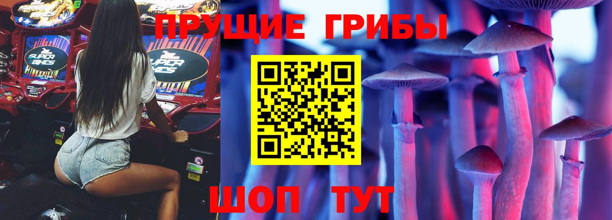 Псилоцибиновые грибы Cubensis  Псилоцибиновые грибы мицелий  Сунжа  Вход с VPN 